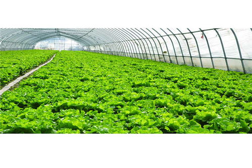 德宏農業光伏溫室大棚 奧越信科技在大棚材料及配套設施設計中的創新實踐