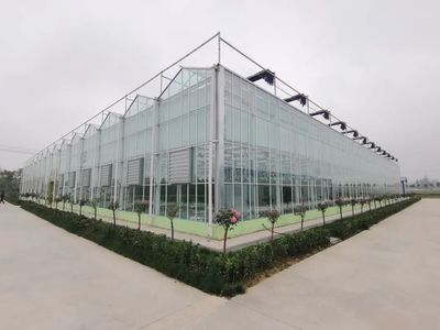 豐縣智慧農業新篇章 空中瓜果背后的高科技大棚設計