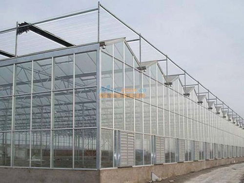 專業(yè)溫室大棚建設(shè) 材料選擇與配套設(shè)施設(shè)計(jì)的全面解析