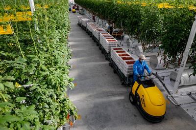 從春天啟程！古浪縣域經濟發展跑出“加速度” 干出“新精彩”——農業溫室篇